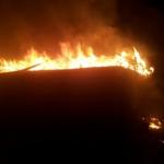 Фотодокумент 394 Фотодокумент 394