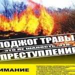 Фотодокумент 413 Фотодокумент 413