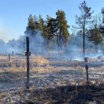 Фотодокумент 416 Фотодокумент 416