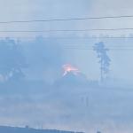 Фотодокумент 419 Фотодокумент 419