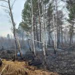 Фотодокумент 430 Фотодокумент 430