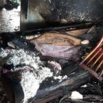 Фотодокумент 438 Фотодокумент 438