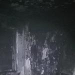 Фотодокумент 444 Фотодокумент 444