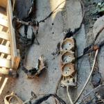 Фотодокумент 454 Фотодокумент 454