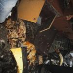 Фотодокумент 17