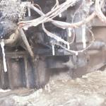 Фотодокумент 41 Фотодокумент 41