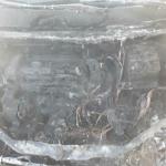 Фотодокумент 36 Фотодокумент 36