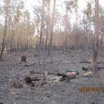 Фотодокумент 57 Фотодокумент 57