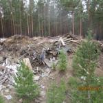 Фотодокумент 62 Фотодокумент 62