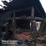 Фотодокумент 114