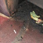 Фотодокумент 125 Фотодокумент 125