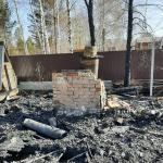 Фотодокумент 172