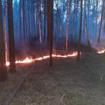 Фотодокумент 193