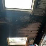 Фотодокумент 208