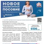 Фотодокумент 247