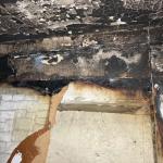 Фотодокумент 256