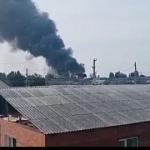 Фотодокумент 287