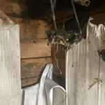 Фотодокумент 486