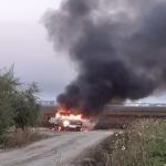 Фотодокумент 498 Фотодокумент 498