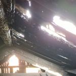 Фотодокумент 503 Фотодокумент 503