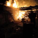 Фотодокумент 530 Фотодокумент 530