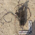 Фотодокумент 541