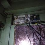 Фотодокумент 539 Фотодокумент 539