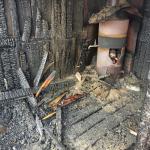 Фотодокумент 542 Фотодокумент 542