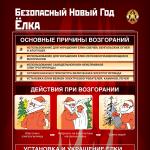 Фотодокумент 550