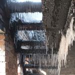 Фотодокумент 556 Фотодокумент 556