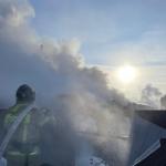 Фотодокумент 559 Фотодокумент 559