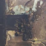 Фотодокумент 575