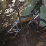 Фотодокумент 577