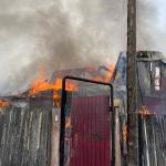 Фотодокумент 591 Фотодокумент 591