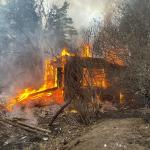 Фотодокумент 596