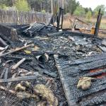 Фотодокумент 618