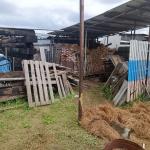 Фотодокумент 633 Фотодокумент 633