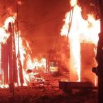 Фотодокумент 650 Фотодокумент 650