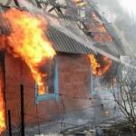 Фотодокумент 651