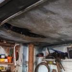 Фотодокумент 674 Фотодокумент 674