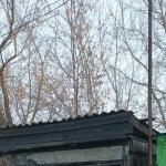 Фотодокумент 675 Фотодокумент 675