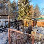 Фотодокумент 709