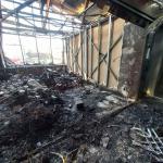 Фотодокумент 919