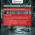 Фотодокумент 937