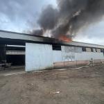 Фотодокумент 993