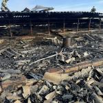 Фотодокумент 995